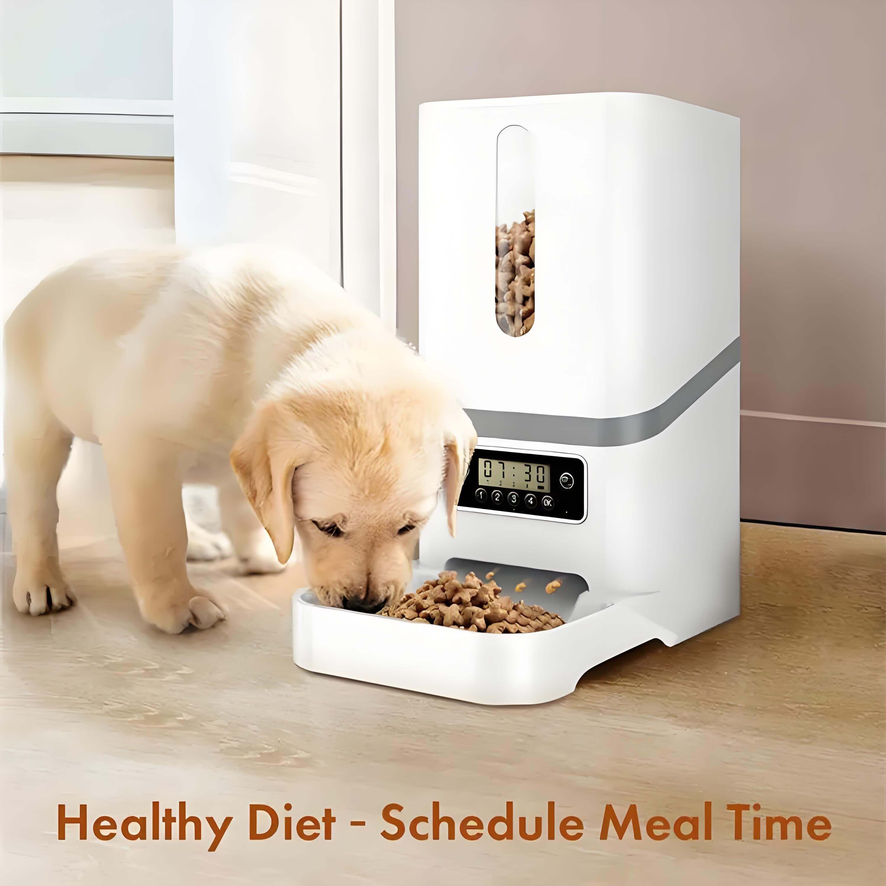 Kiki Smart pet Feeder 6L